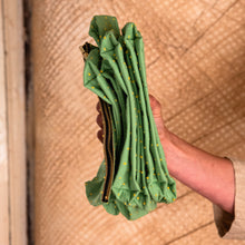 Drafter Pouch with Yellow Fluffy Spots on Green!: Elin