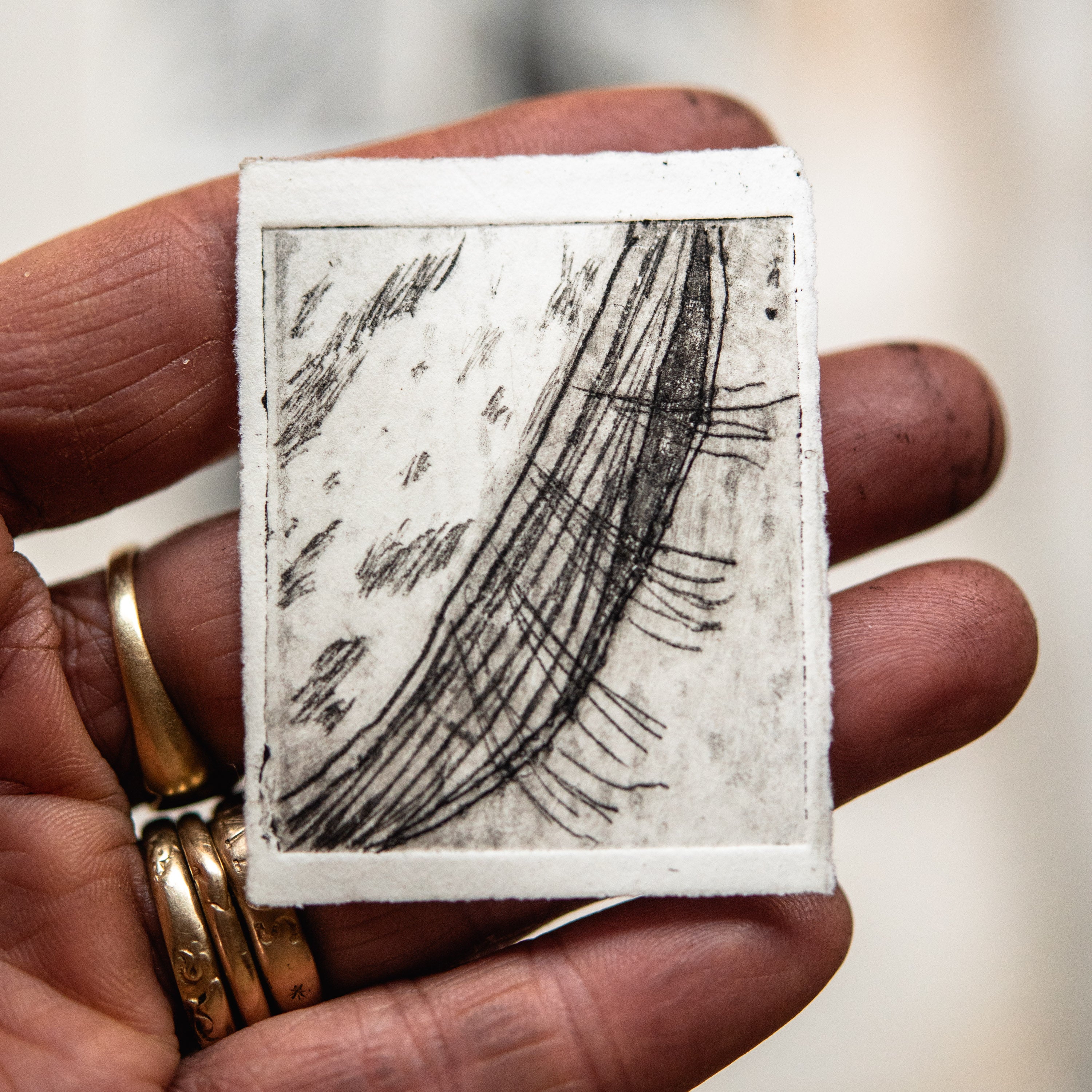 “Milkweed Seed Pod” Tetra Pak Print