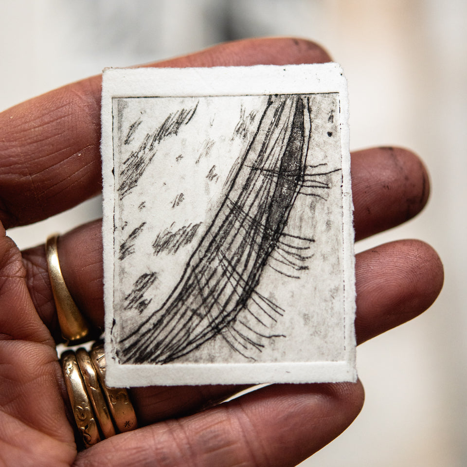 “Milkweed Seed Pod” Tetra Pak Print