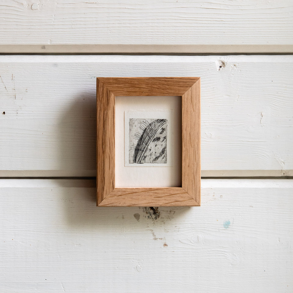 “Milkweed Seed Pod” Tetra Pak Print