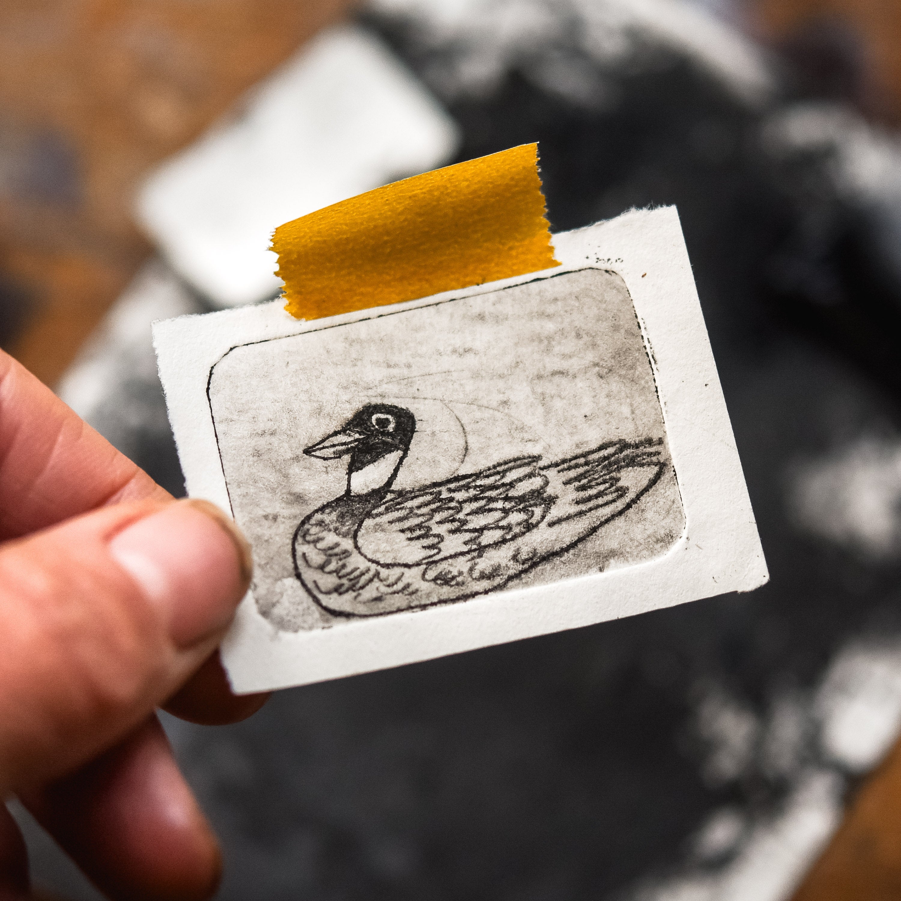 “Not a Duck” Tetra Pak Print