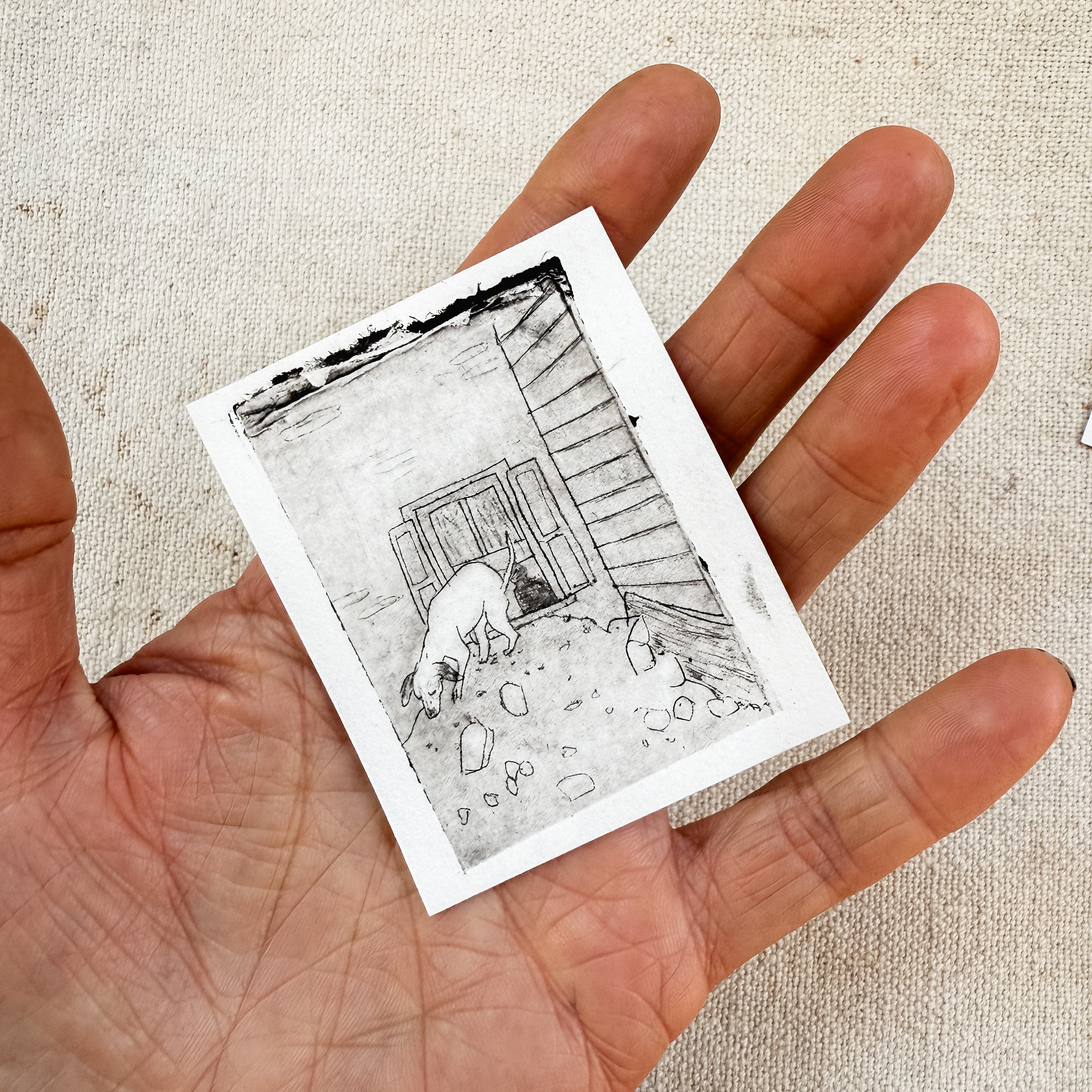“Rat Room Floor” Tetra Pak Print