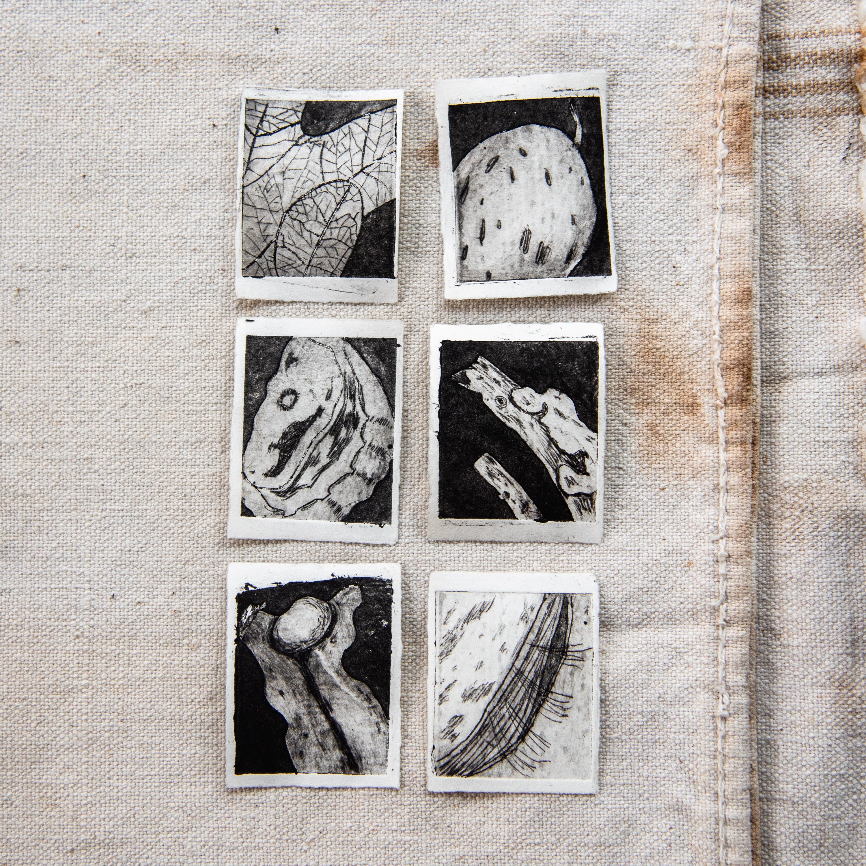“Seaweed” Tetra Pak Print