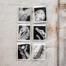 “Seaweed” Tetra Pak Print