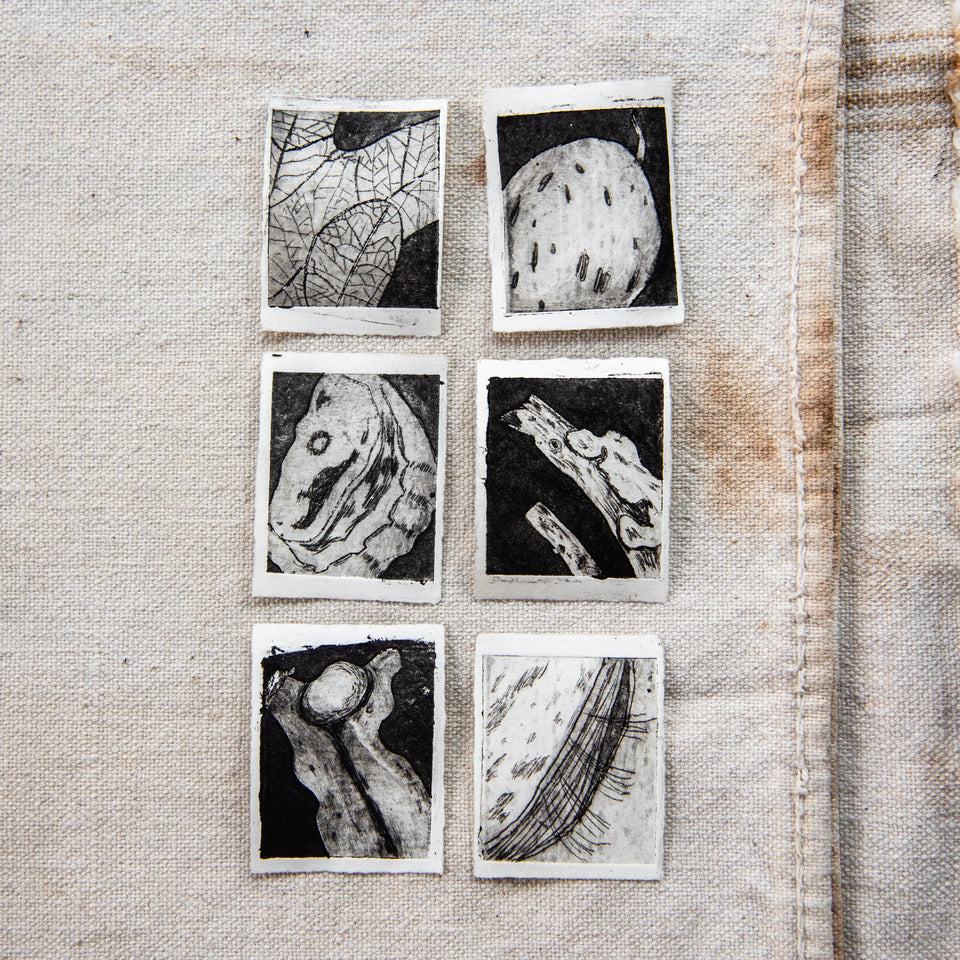 “Seaweed” Tetra Pak Print