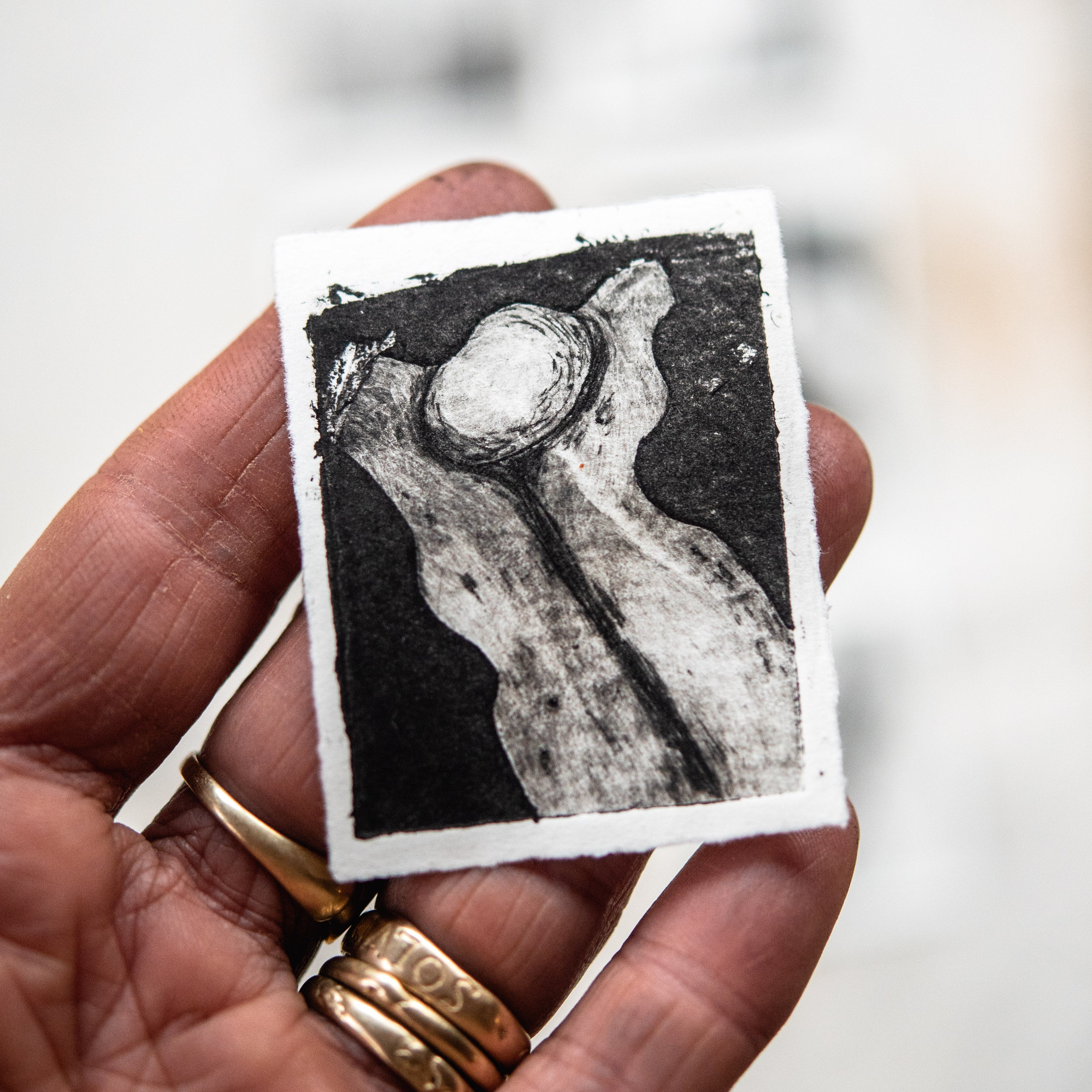 “Seaweed” Tetra Pak Print