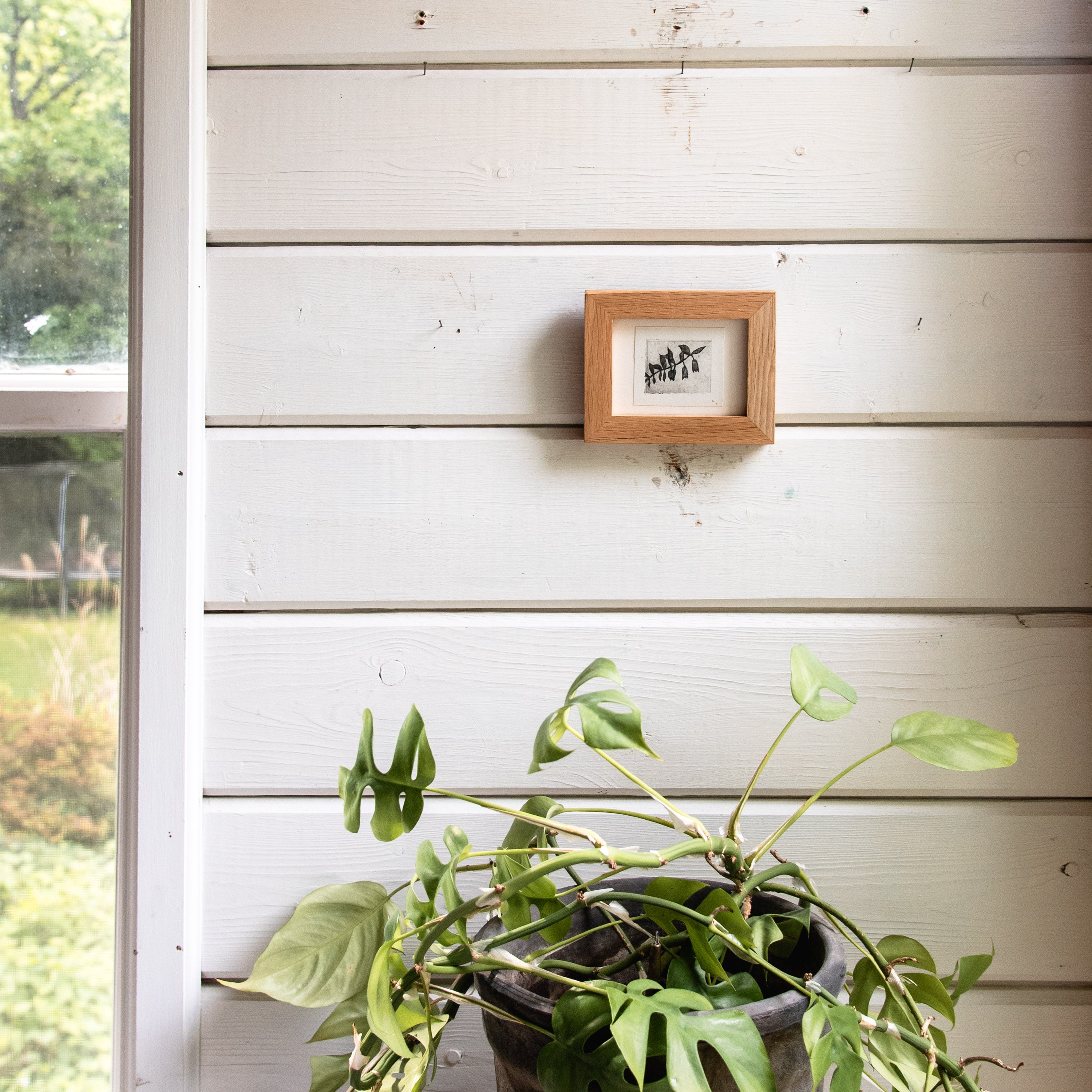 “Solomon’s Seal” Tetra Pak Print