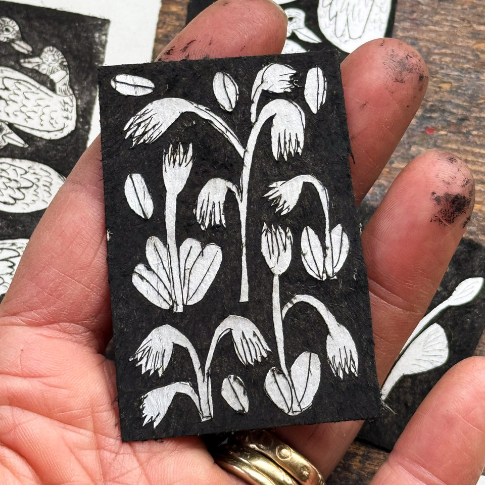 “Spring Ephemerals” Tetra Pak Print