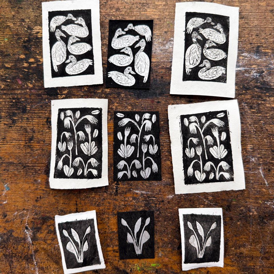 “Spring Ephemerals” Tetra Pak Print