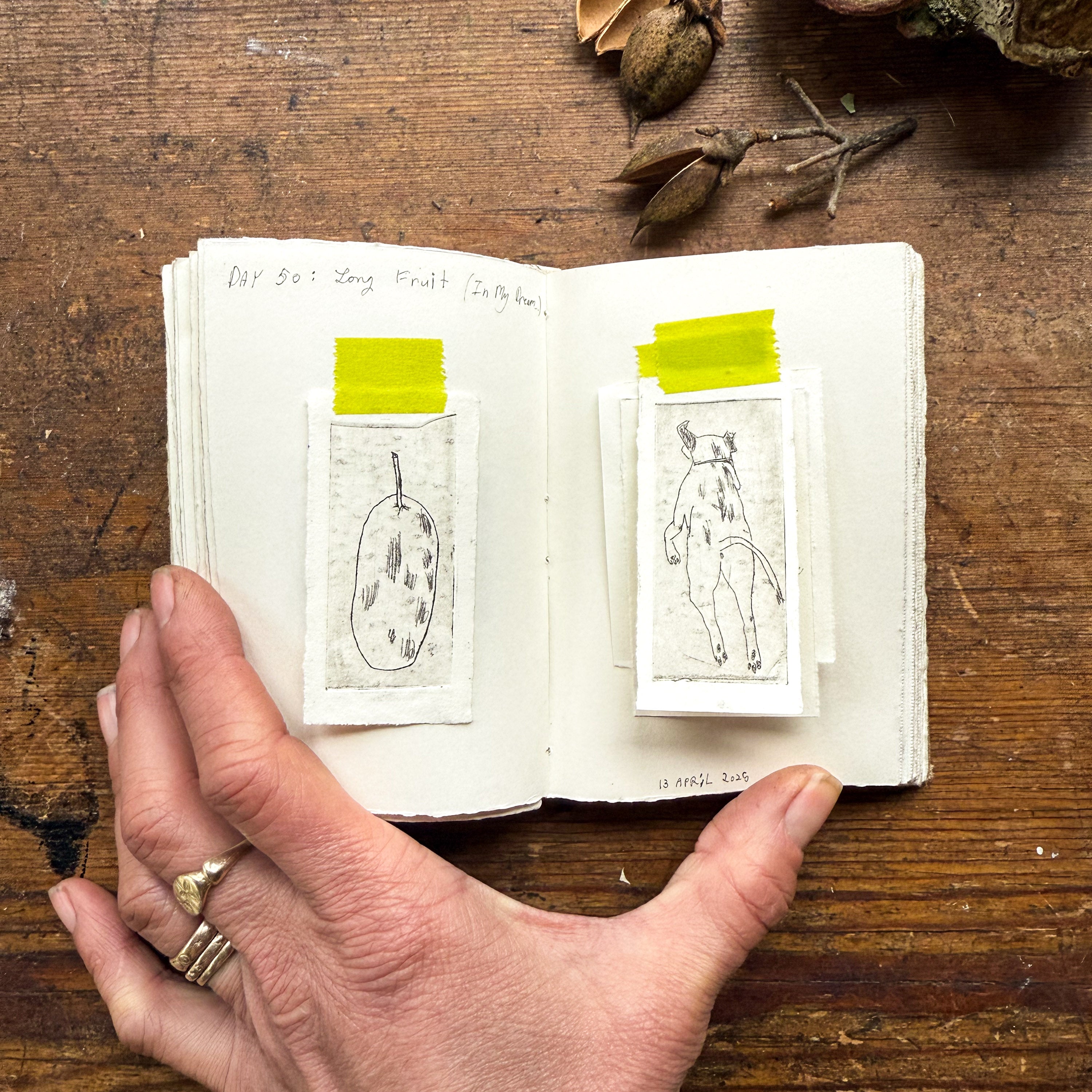 “The Long Fruit and A Spotted Dog” Tetra Pak Print