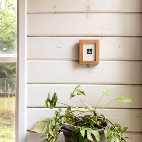 “Trillium No. 1” Tetra Pak Print