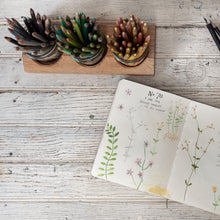 Beatrix Artist Caddy – Small Batch
