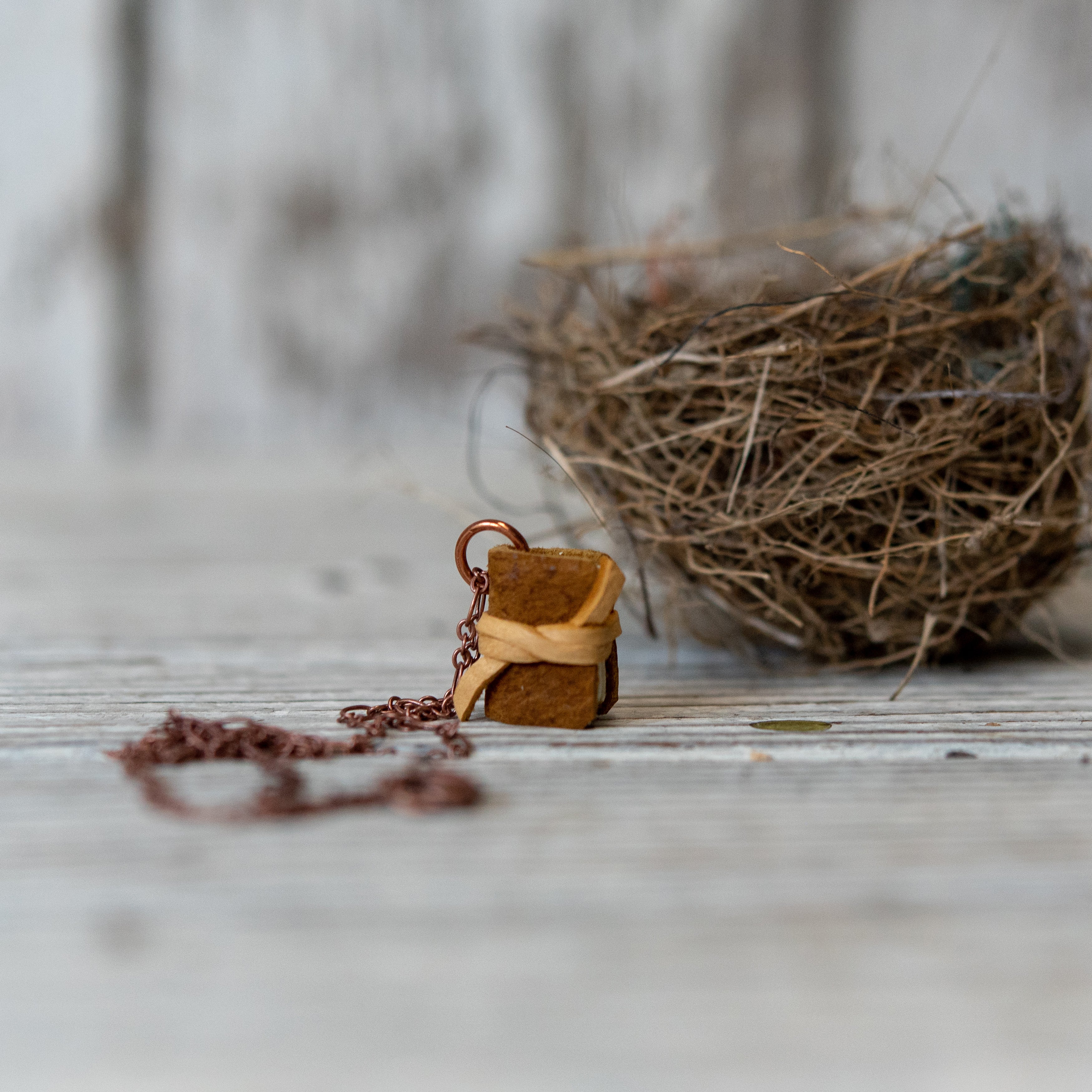 Book Necklace: Husk