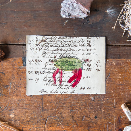 Foundlings Original Art: Primula